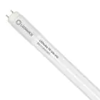 Ledvance Tube LED T8 Value (UN) High Output 8W 900lm - 865 Lumière Du Jour | 60cm - Équivalent 18W