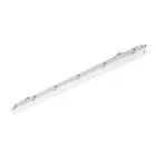 Philips Réglette LED Étanche Ledinaire WT065C 30/53W 4100/6800lm - 840 Blanc Froid | 150cm - Câblage Traversant